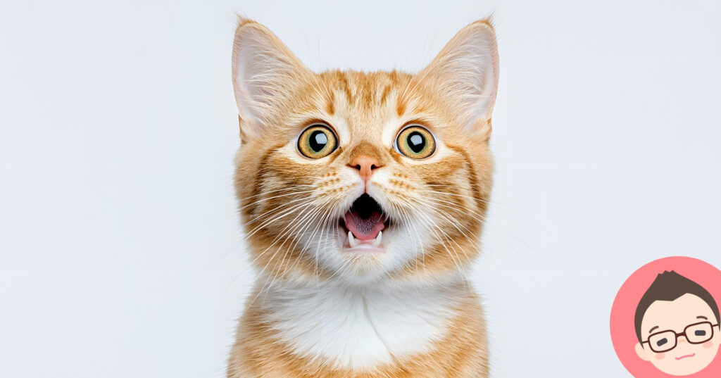 毎日薄い!今までの私